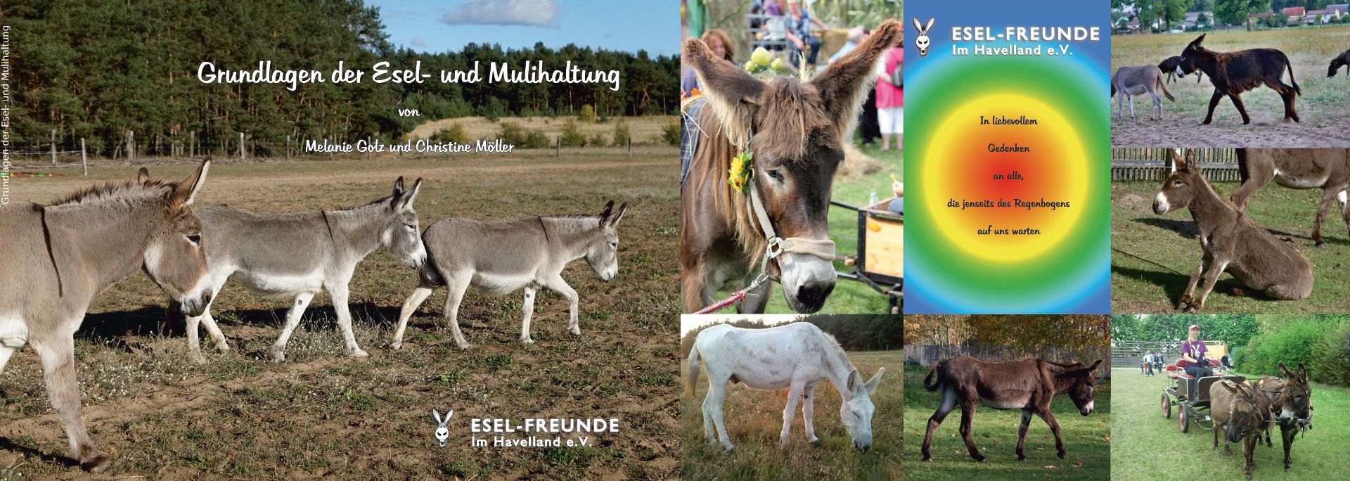 Lehrbuch Grundlagen der Esel- und Mulihaltung Lehrbuch Grundlagen der Esel- und Mulihaltung