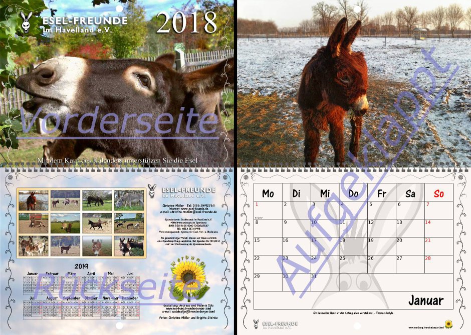 Eselkalender 2018, erhältlich im Spendenshop der Eselfreunde im Havelland e. V. esel kalender werbung940x670px