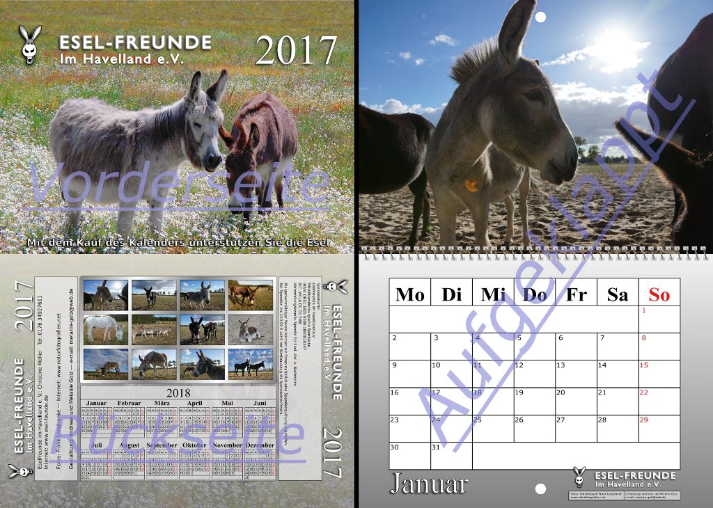 Wandkalender "Esel" 2017 Wandkalender Esel 2017